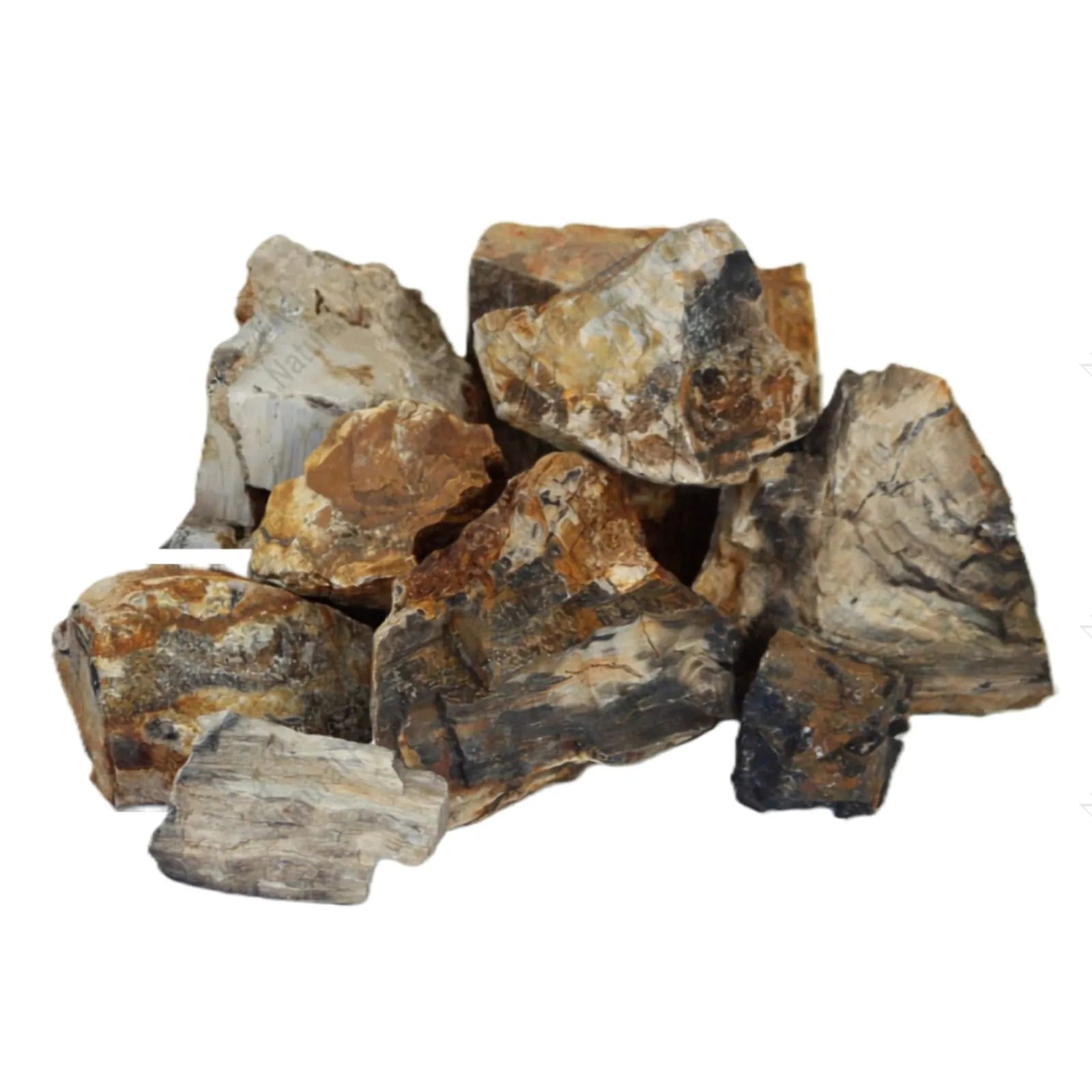 AP Naturals Petrified Wood Stone - Per Kilo