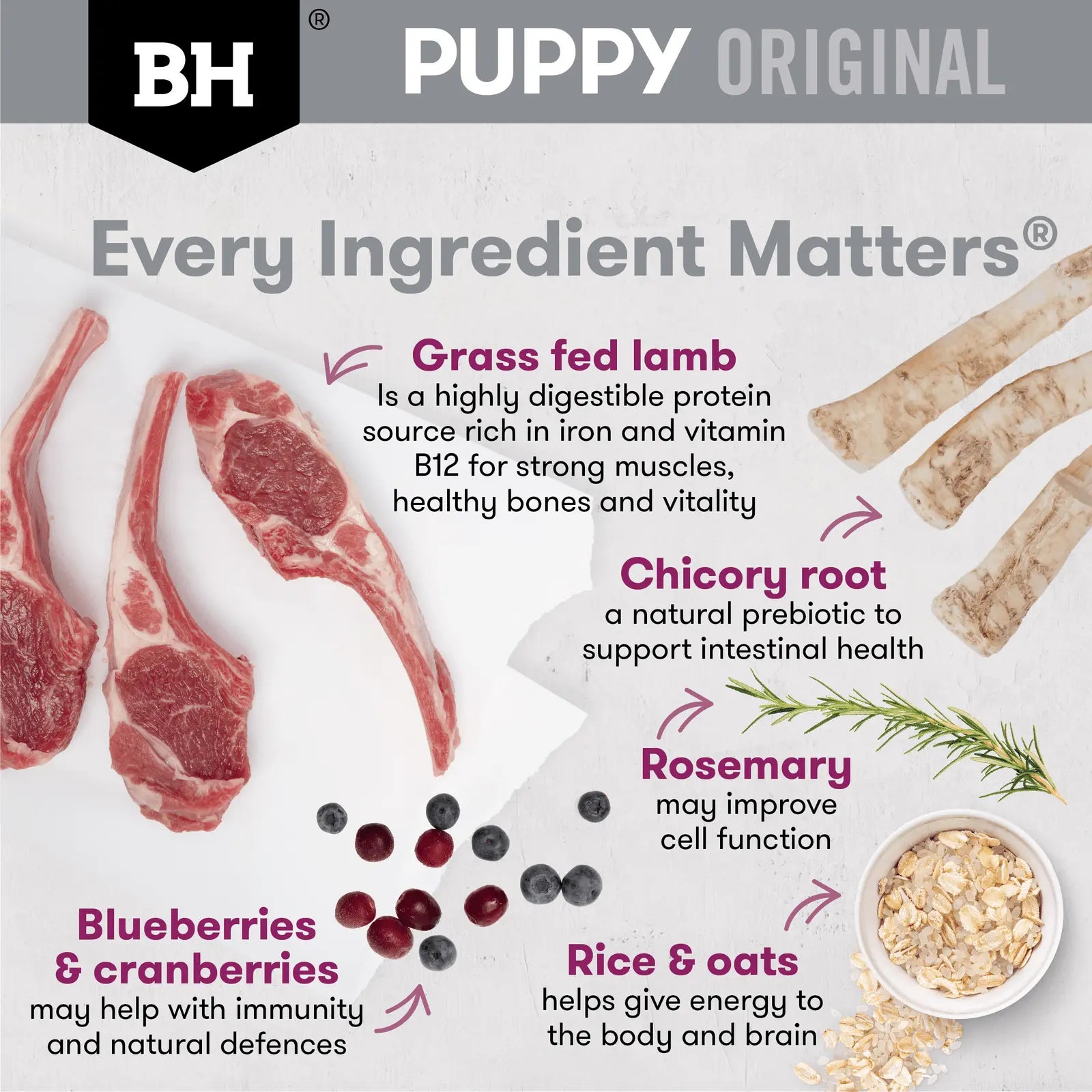 Black Hawk Dog Food Puppy Medium Breed Lamb & Rice - Kellyville Pets