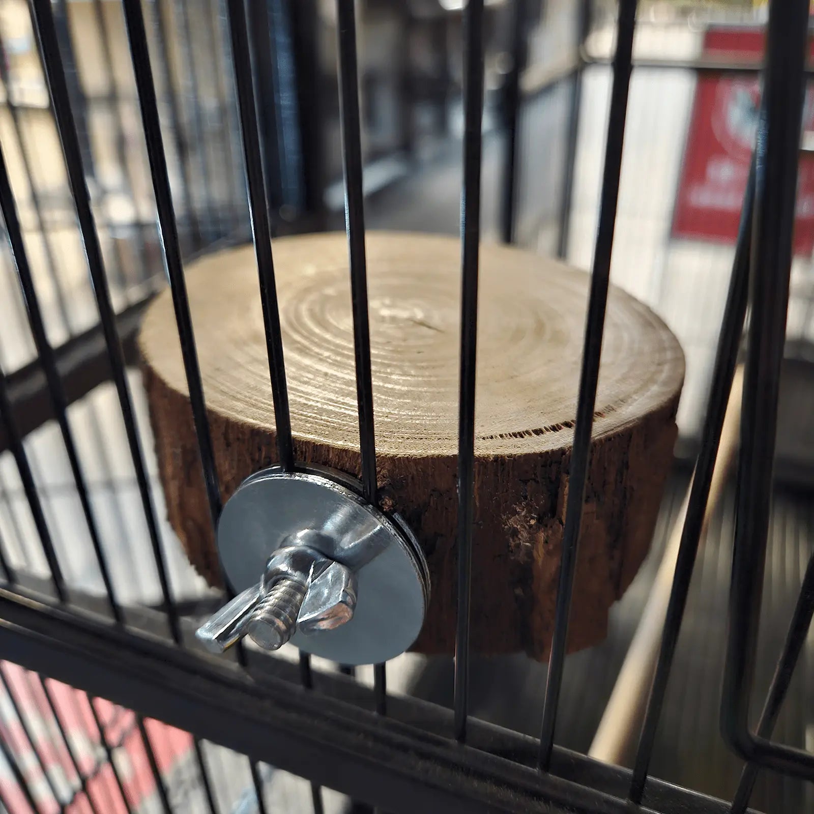 Custom Handmade Bird Platform - Kellyville Pets