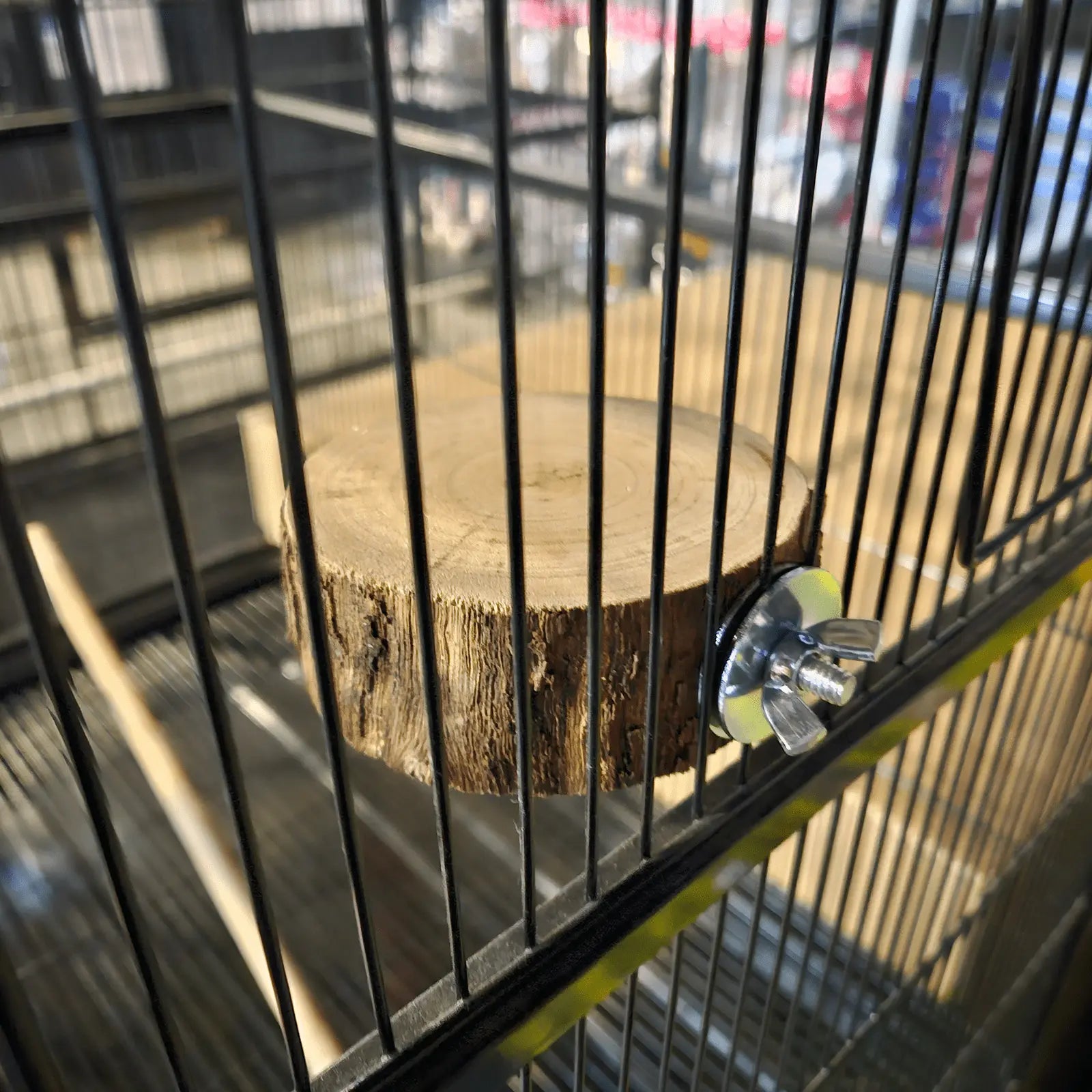 Custom Handmade Bird Platform - Kellyville Pets