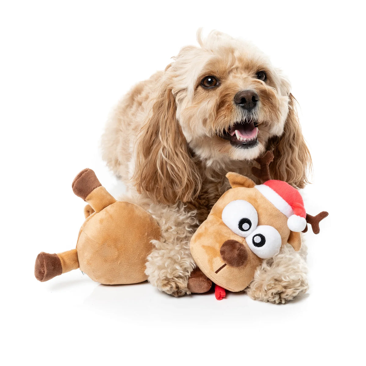 A fluffy light brown dog lying on a white background next to a FuzzYard Domineck The Reindeer long-necked Christmas dog toy wearing a red Santa hat.