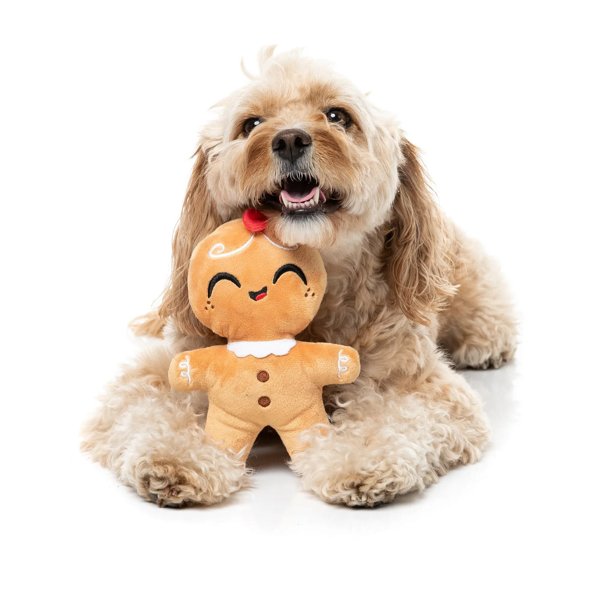 A fluffy light brown dog lying on a white background, holding a FuzzYard Doughlilia gingerbread Christmas dog toy plush toy in front of its chest.