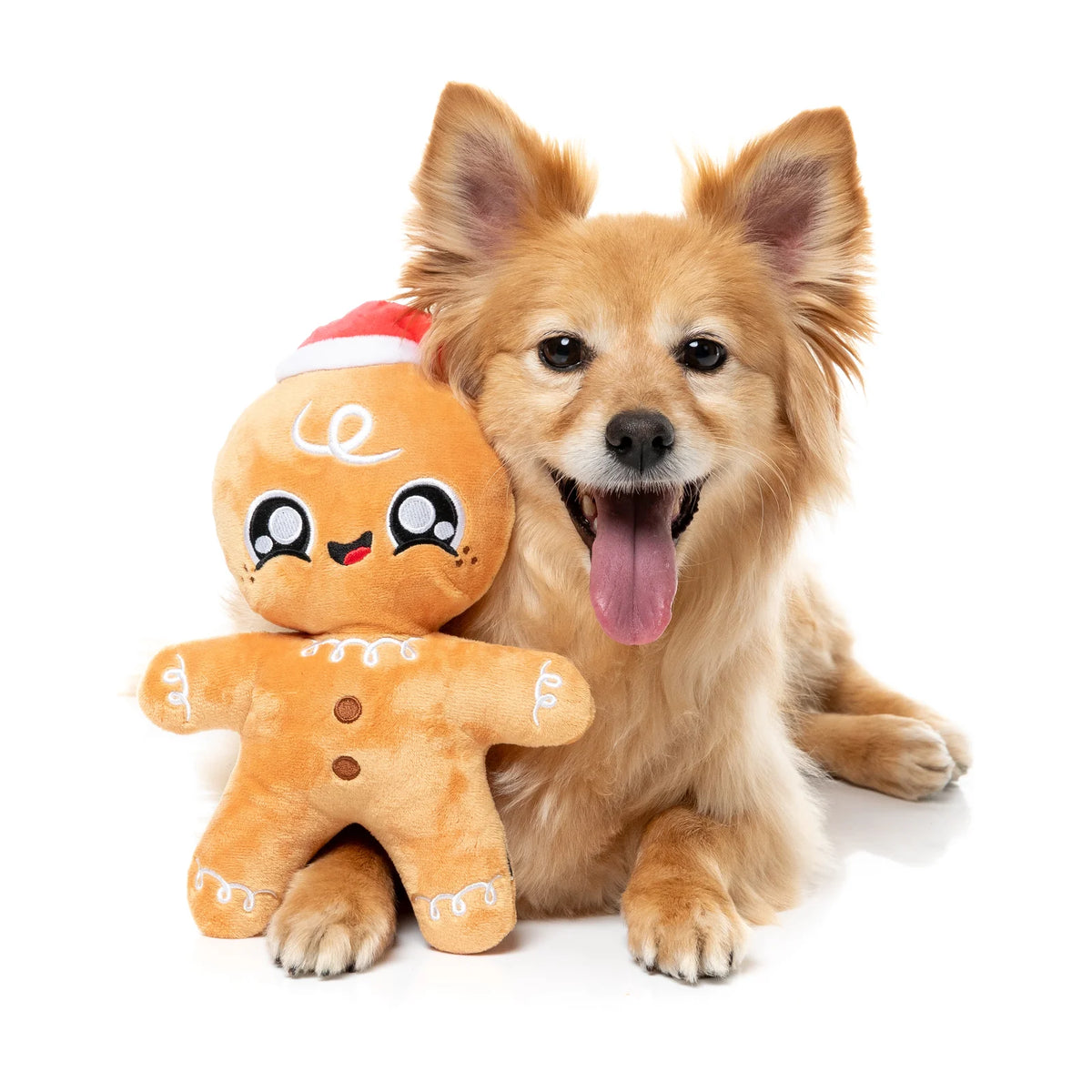 A small fluffy tan dog sits on a white background next to a plush FuzzYard Doughminic gingerbread Christmas dog toy wearing a red and white Santa hat.