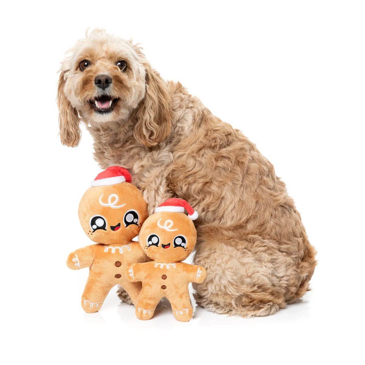 A fluffy light brown dog sits on a white studio background next to two FuzzYard Doughminic gingerbread Christmas plush dog toys wearing Santa hats.