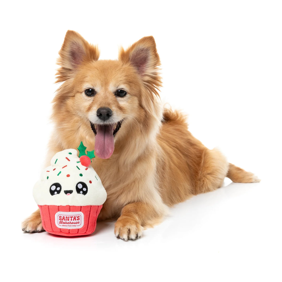 A fluffy golden Pomeranian dog lies on a white studio background next to a FuzzYard Frosty The Cupcake plush Christmas dog toy. The toy has a white frosting top with black eyes, colorful sprinkles, a red cherry on a green stem, and a red cupcake liner base with a visible 'SABAS' brand patch.