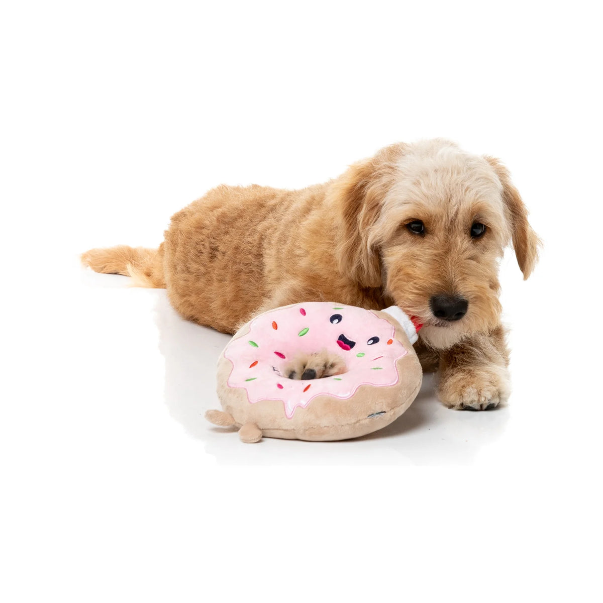 A small golden dog lying on a white studio floor next to a plush FuzzYard Ho Ho Donut Christmas Dog Toy with pink frosting and colorful sprinkles.
