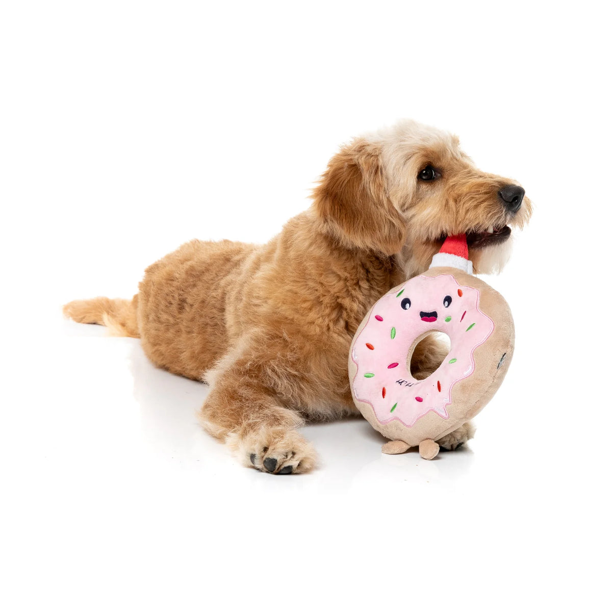 A small golden dog lies on a white studio floor holding a FuzzYard Ho Ho Donut Christmas Dog Toy with a Santa hat in its mouth.