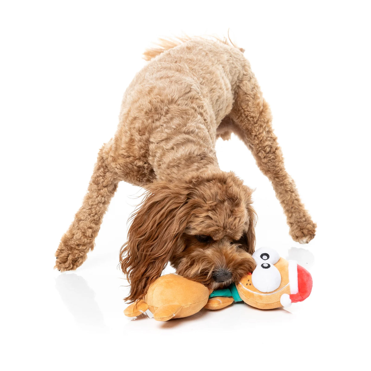 A light brown curly-haired dog is playfully biting and nudging a plush FuzzYard Monecka The Turkey long-necked Christmas dog toy on a seamless white background.