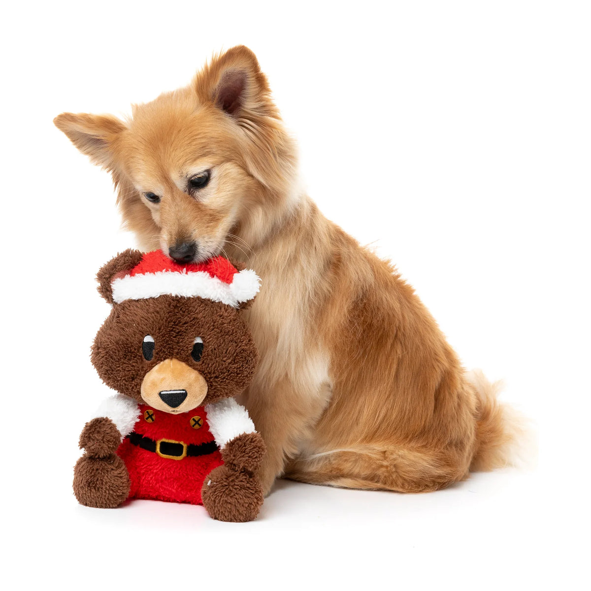 A small fluffy tan dog sits beside a FuzzYard Santa Fuzz Bear plush Christmas dog toy wearing a red Santa outfit and Santa hat, photographed on a clean white studio background.