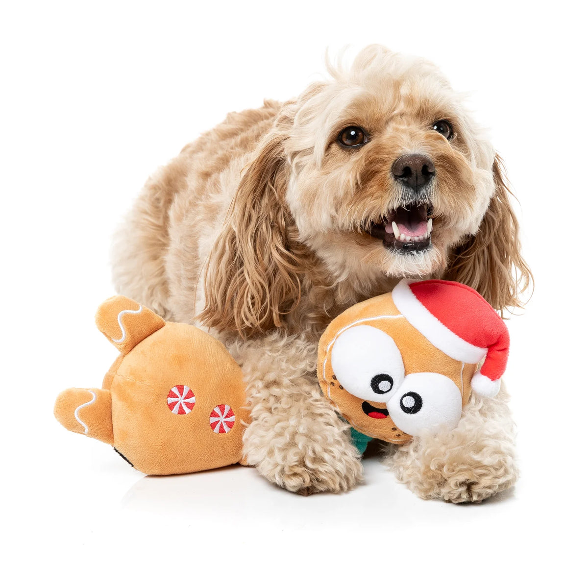 A fluffy light brown dog lying on a white studio background with a FuzzYard Christmas Veronecka long-necked gingerbread dog toy with Santa hat and green scarf in front of it. Ttoy is gingerbread-shaped in tan with pink candy accents, and the other is orange with a red Santa hat and white face details.