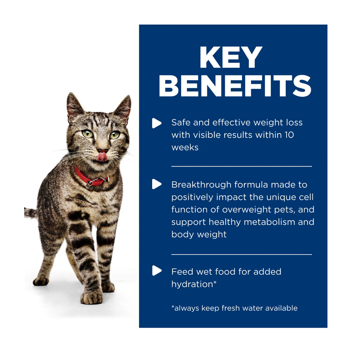 Hill's Science Diet Cat Food Pouch Adult Perfect Weight Chicken - 85g x 12