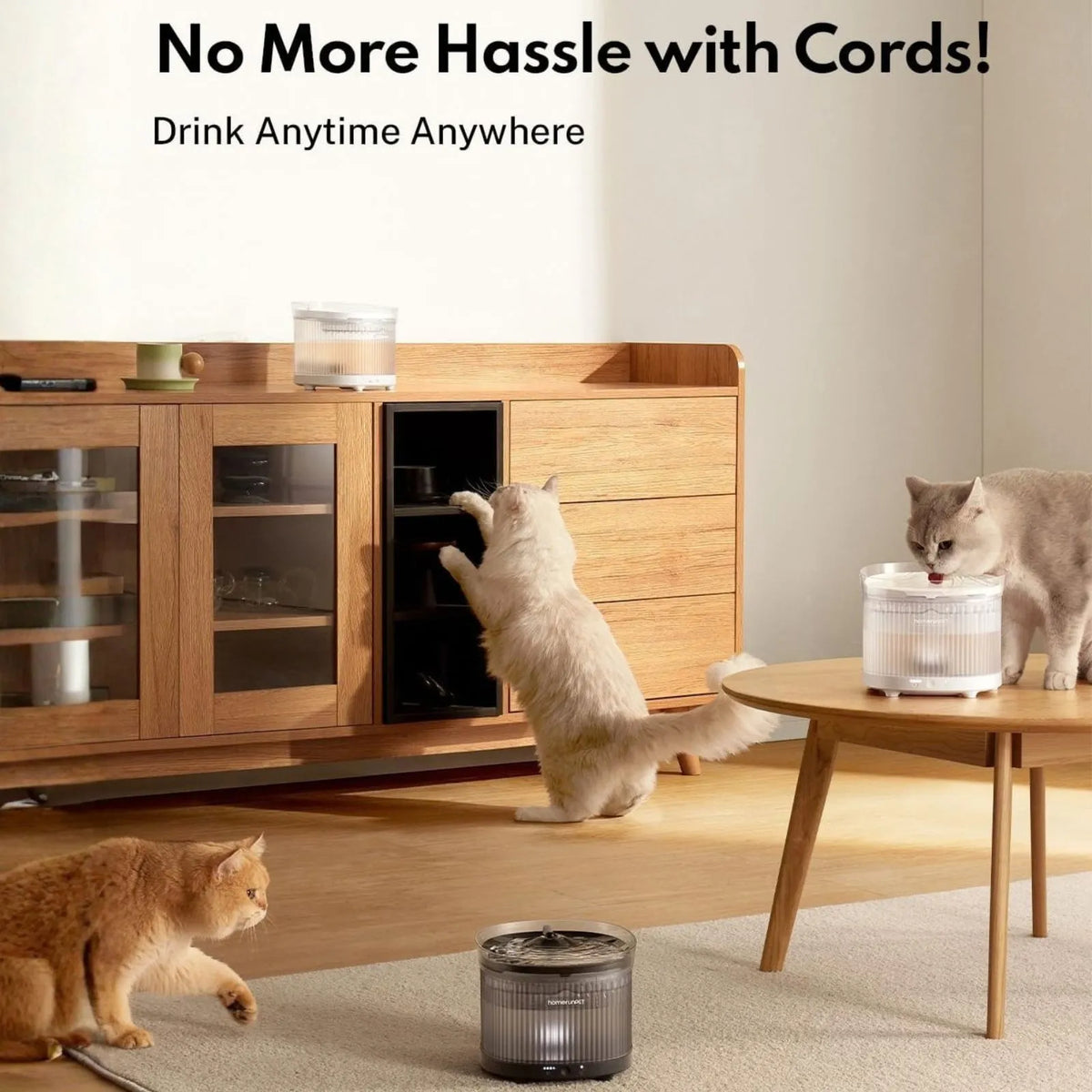 Homerunpet Wireless Pet Water Fountain - Black
