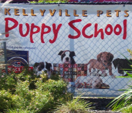 Pet education