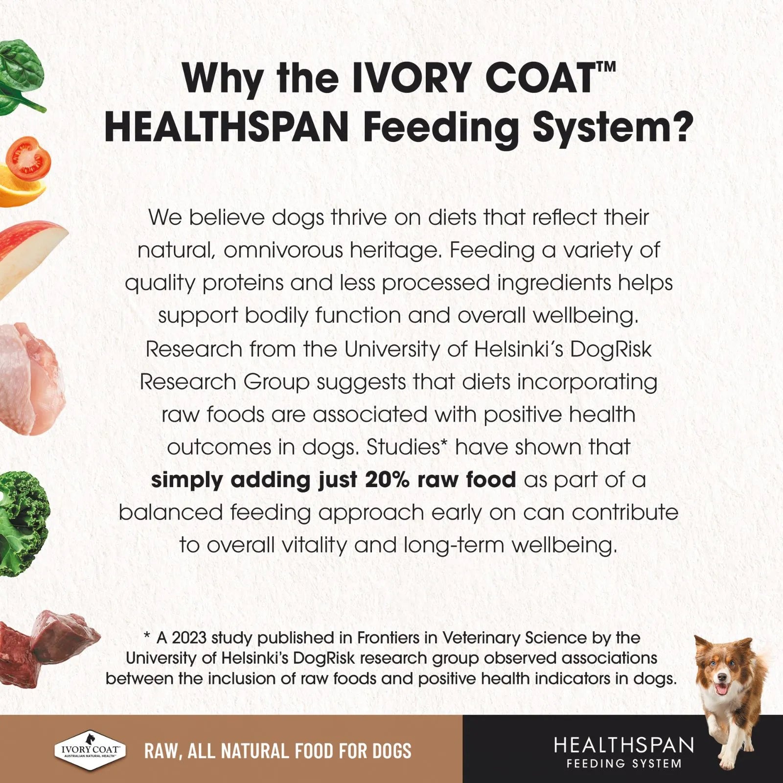 Ivory Coat Chicken Raw Frozen Dog Patties - 12 x 227g