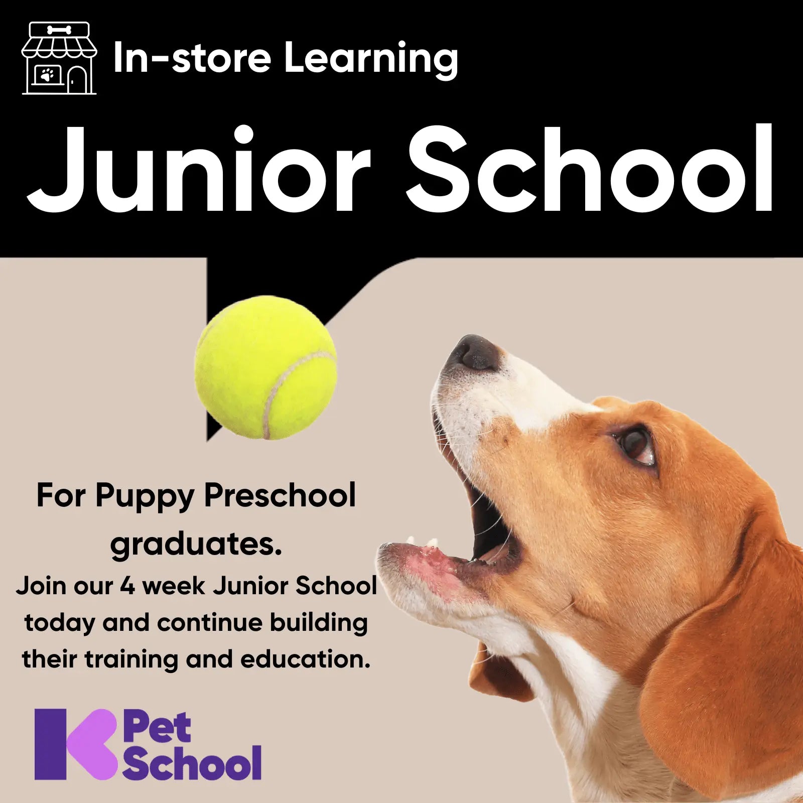 Junior School - Kellyville Pets