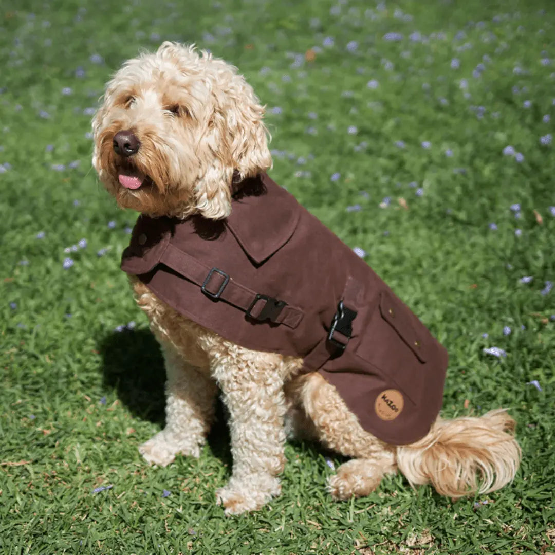 Kazoo Aussie Oilskin Waterproof Dog Coat - Brown - Kellyville Pets