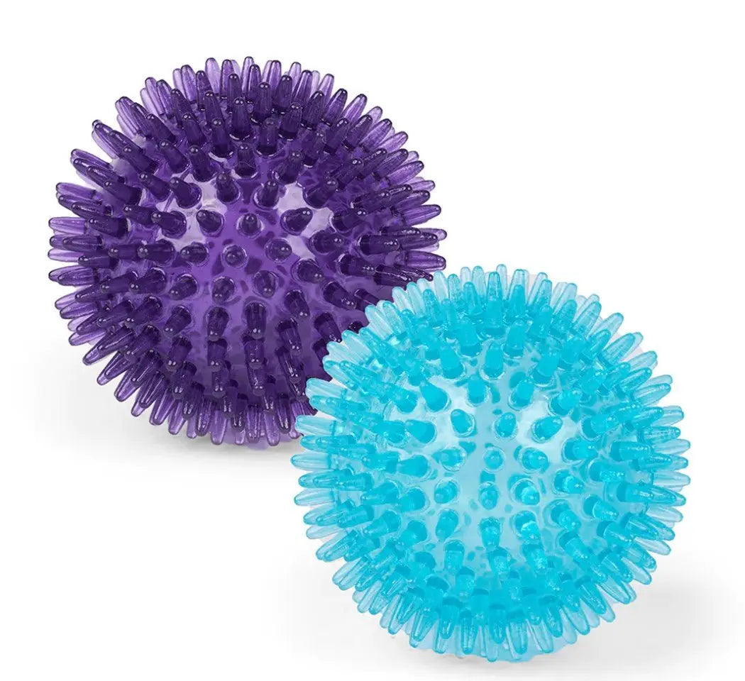 Kazoo Space Ball Dog Toy - Kellyville Pets