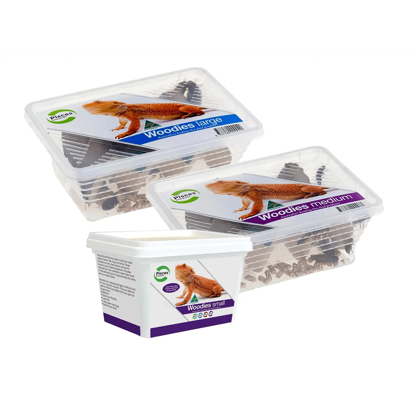 Live Woodies - Pisces Enterprises - Kellyville Pets