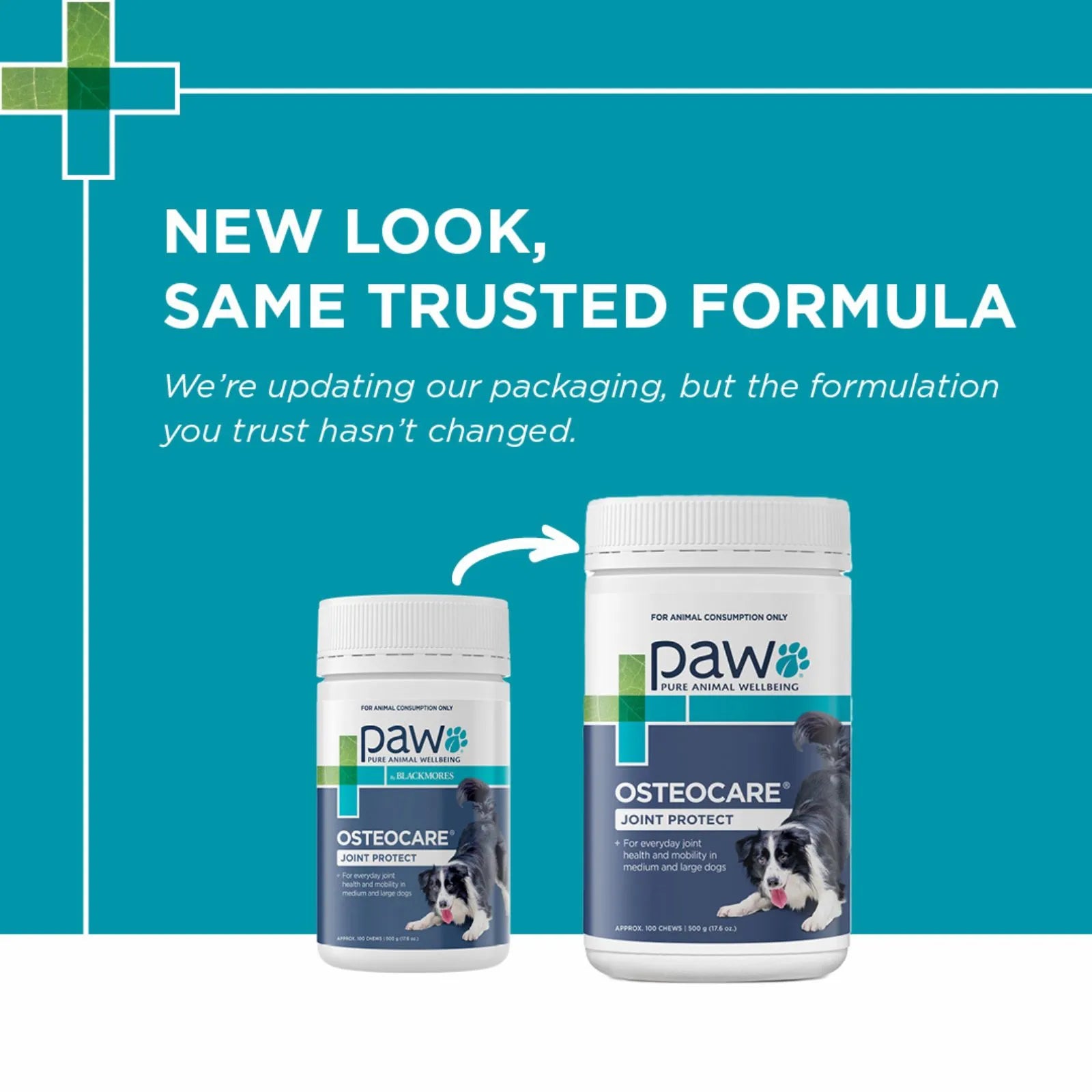 PAW Osteo Care Dog Chews for Joint Health