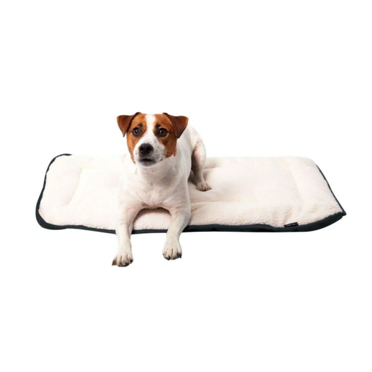 A small white and brown dog lies on a Pet One rectangular waterproof dog cushion with faux sheepskin top in charcoal, photographed against a plain white background.