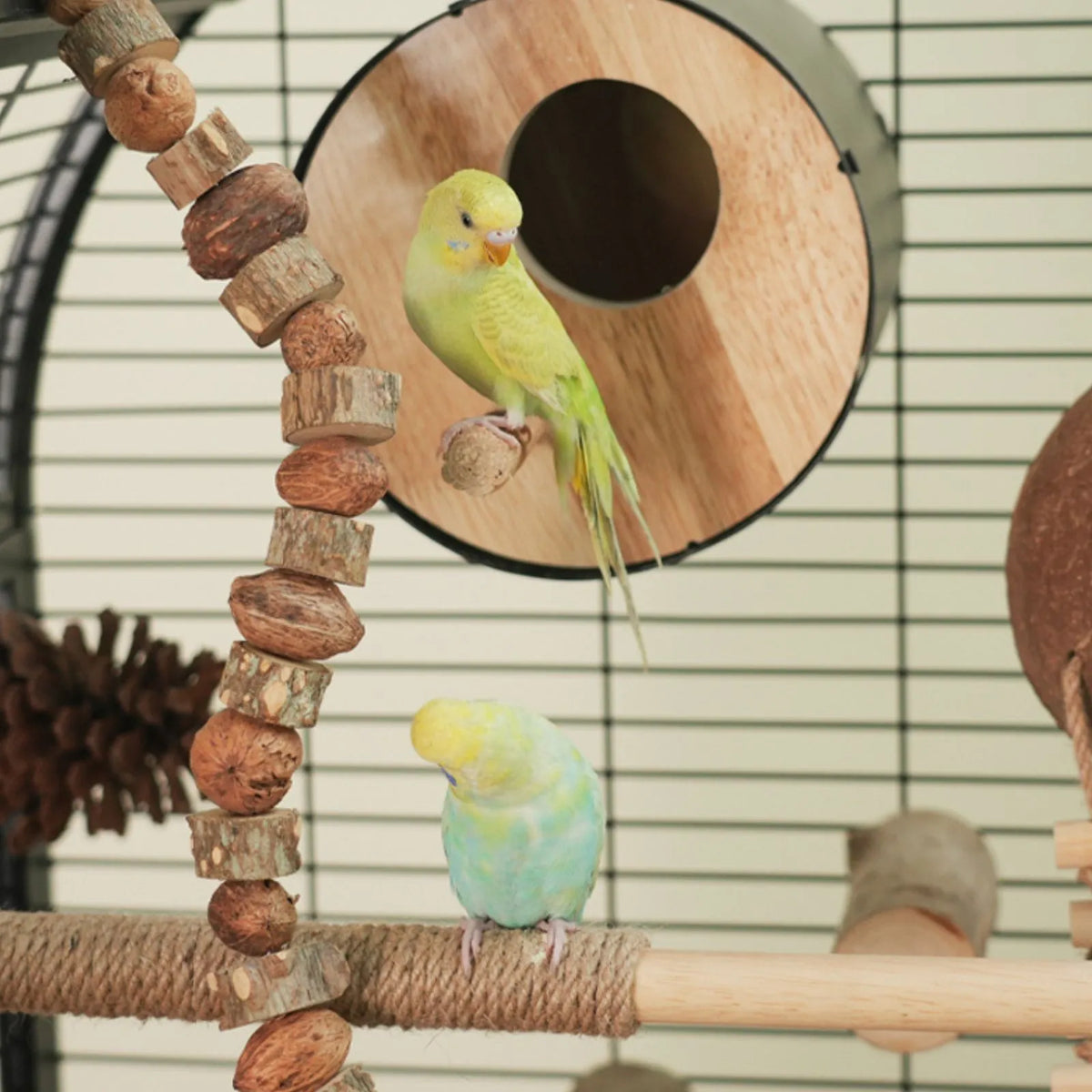 Petoria Aerie - Bird Enclosure with Shelf Storage