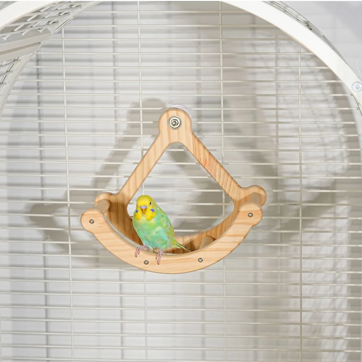 A small green and yellow bird perched on a curved Petoria wooden swing inside a white wire cage.