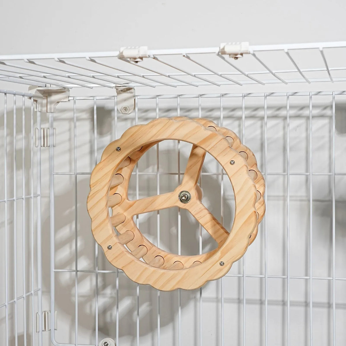 Petoria Spinning Activity Wheel Bird Toy