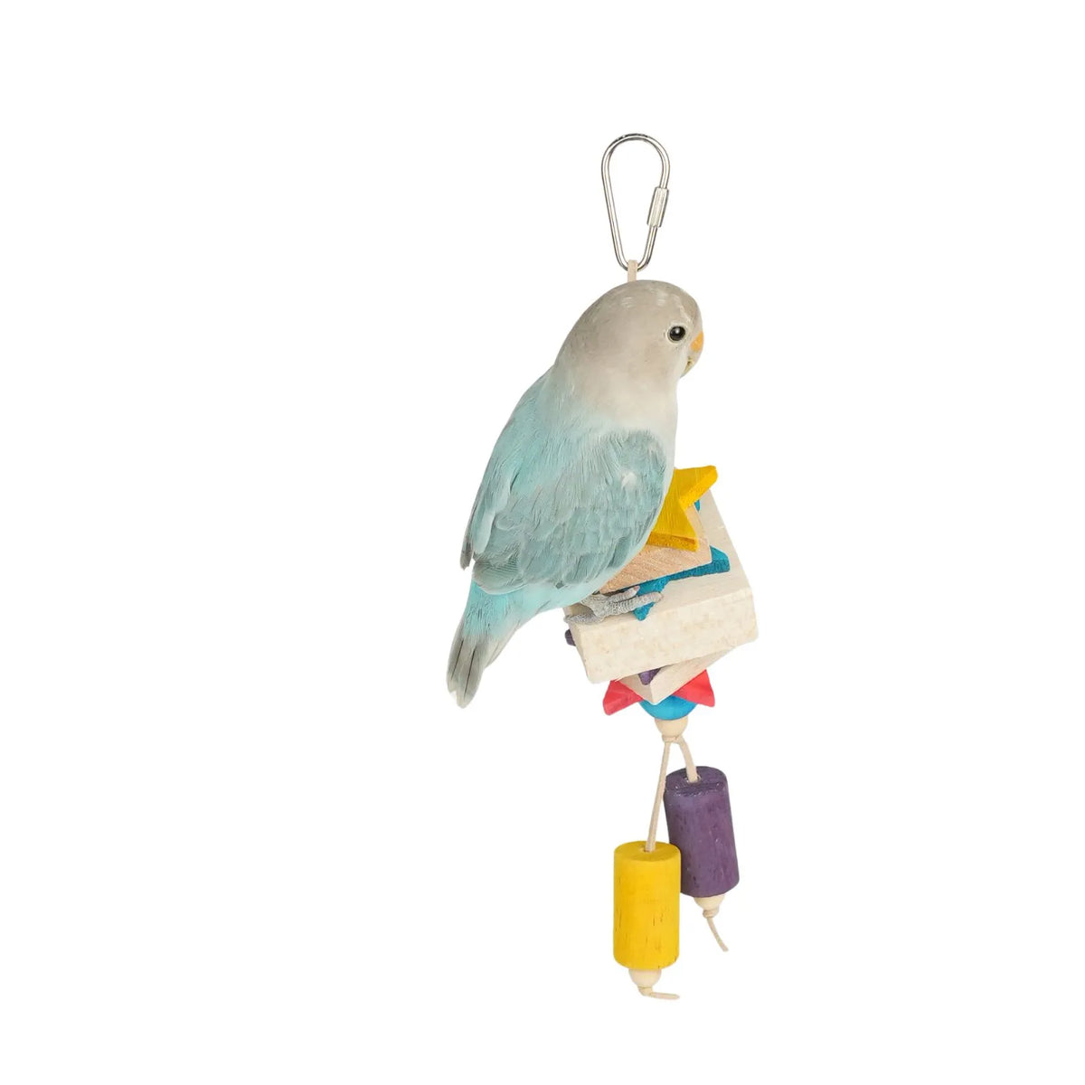 A small bird toy with a light blue and gray bird perched on a Petoria Twinkle Star Jingle Stack Bird Toy with colourful wooden stars, blocks and beads