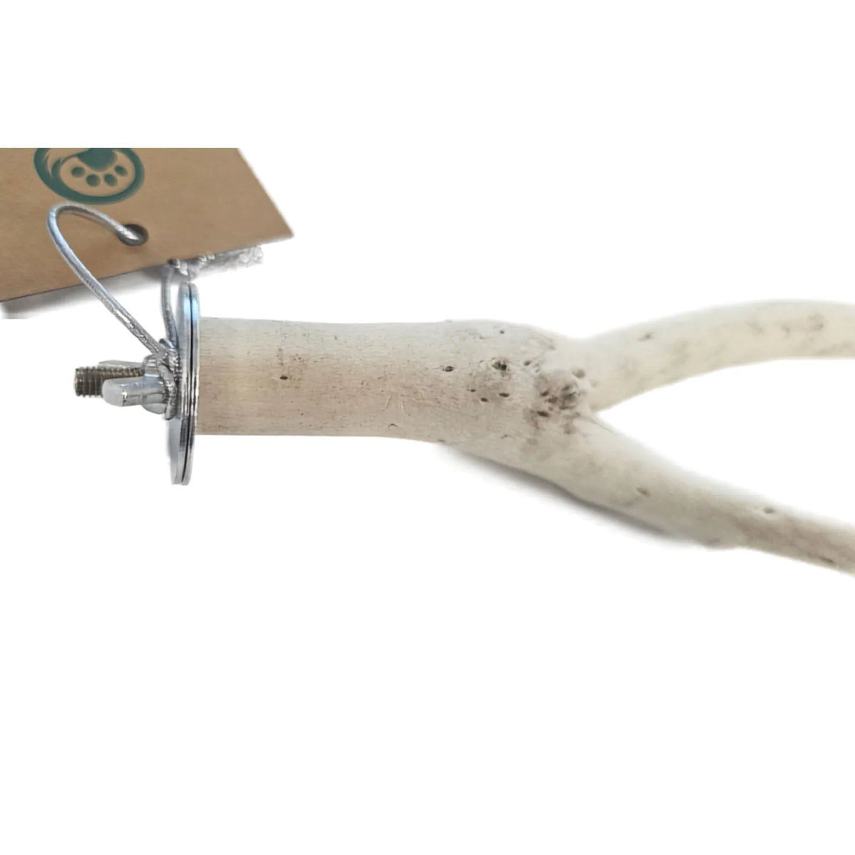 Petoria Woodland Fork Bird Perches