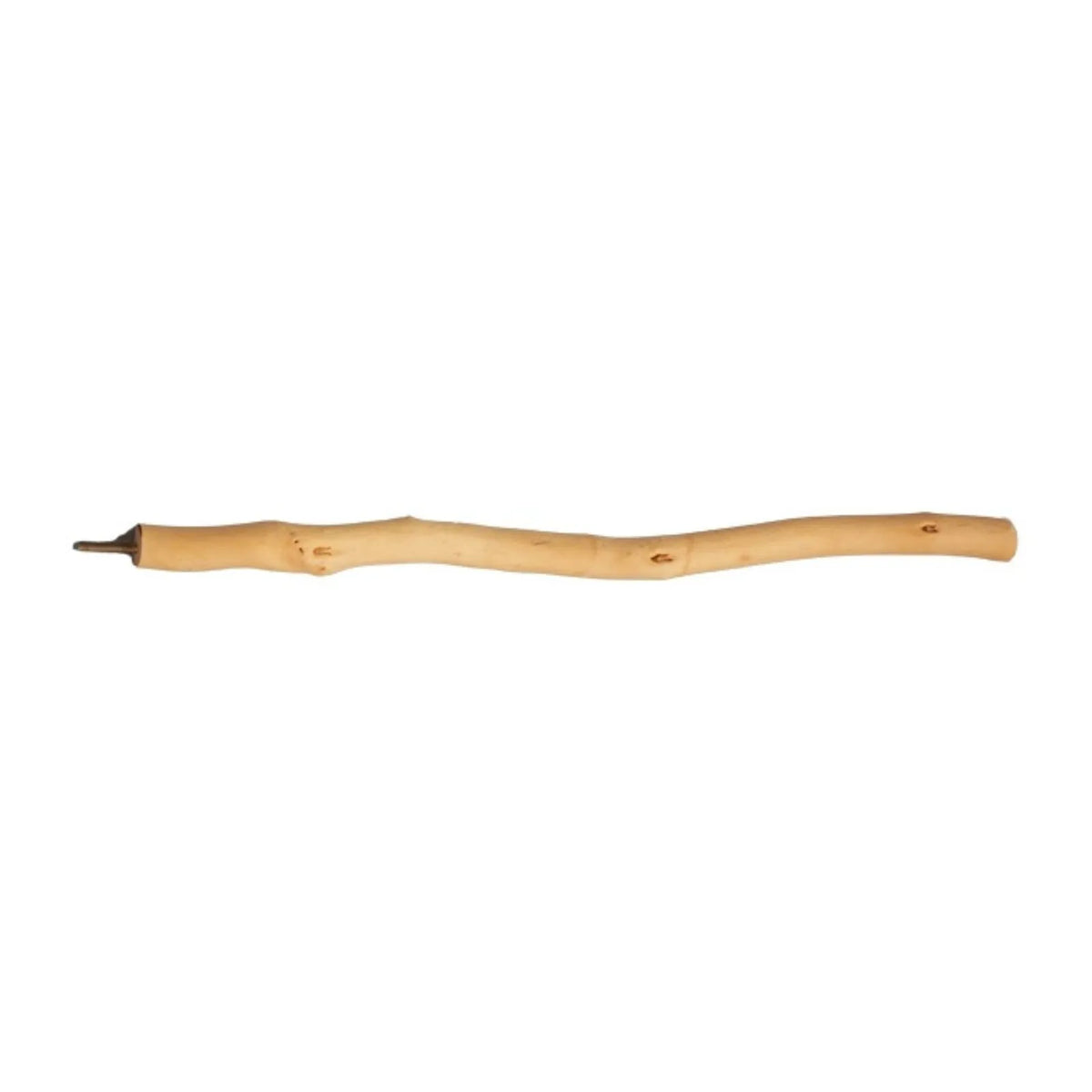Petoria Woodland Wave Bird Perch