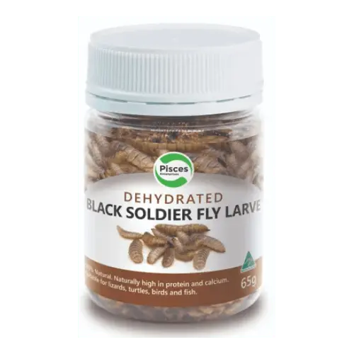 Pisces Dehydrated Soldier Fly Larvae Jar - Kellyville Pets