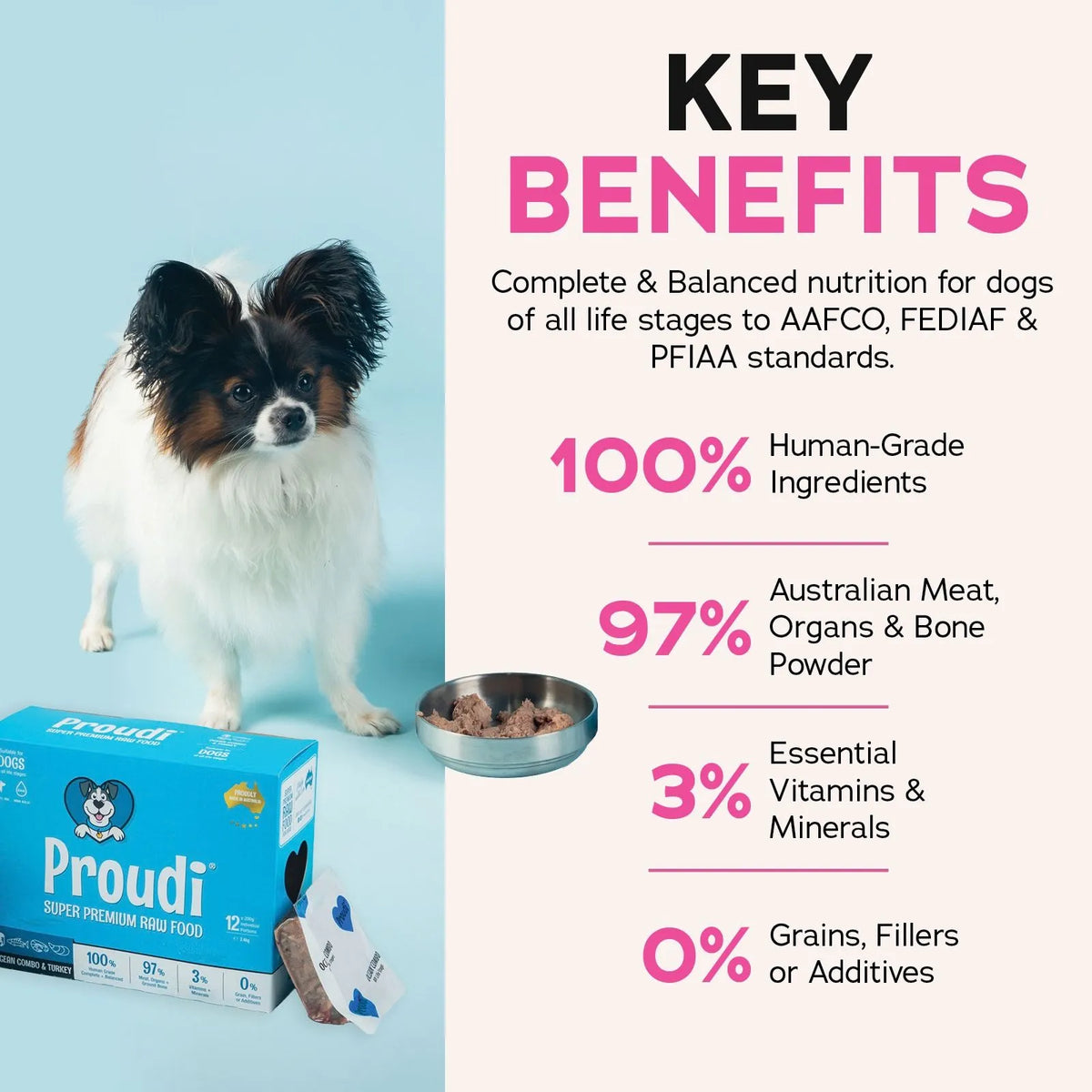 Proudi Ocean Combo and Turkey Raw Patties for Dogs - 12 x 200g