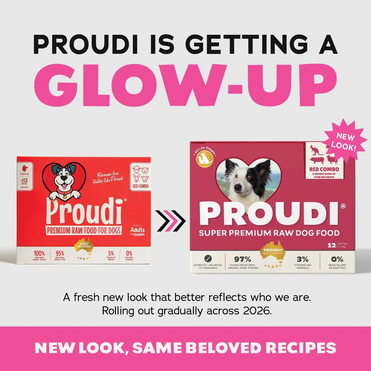 Proudi Red Combo Raw Patties for Dogs - 12 x 200g