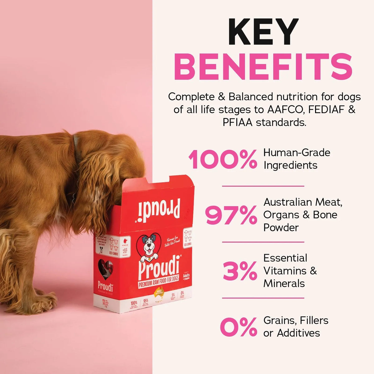 Proudi Red Combo Raw Patties for Dogs - 12 x 200g
