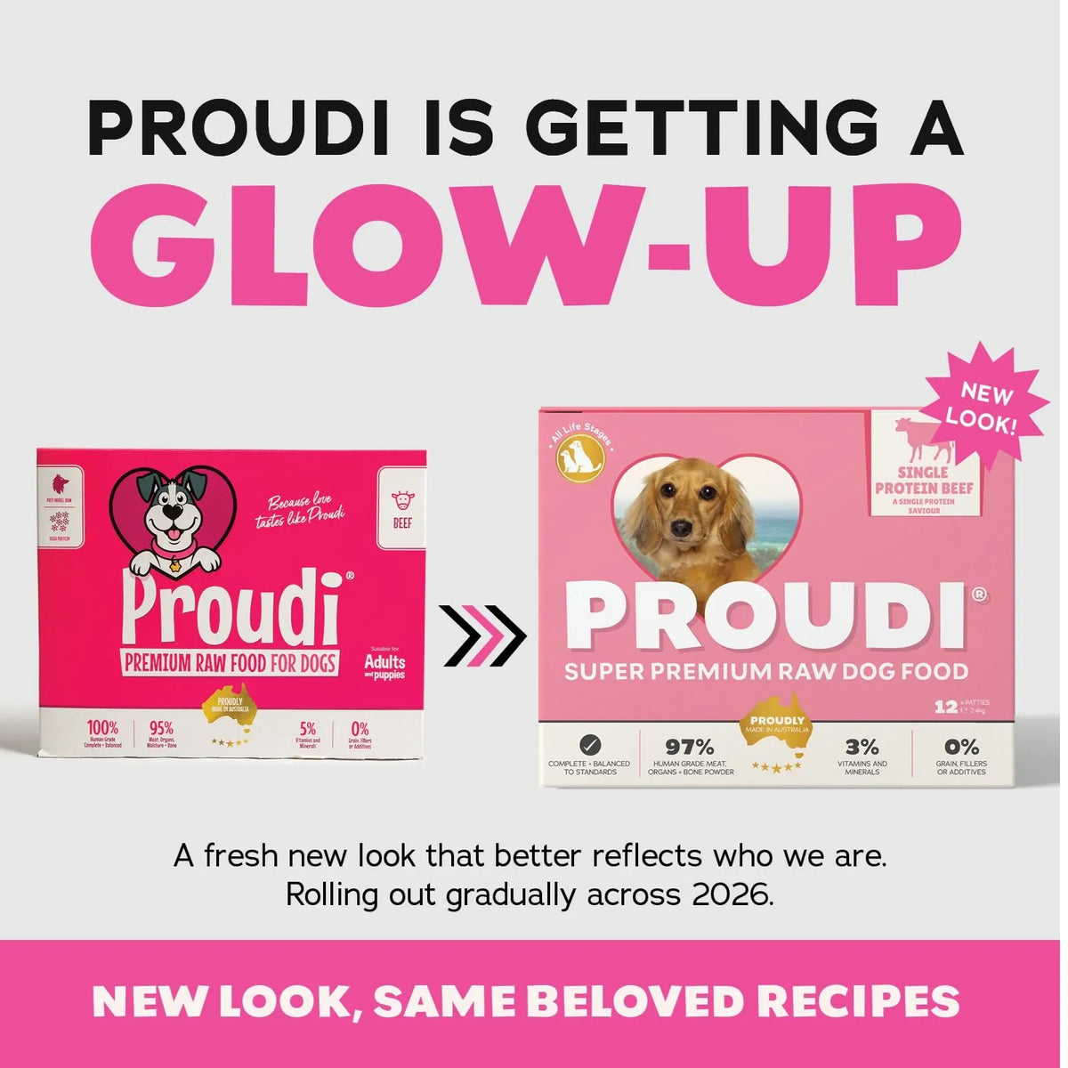 Proudi Single Protein Beef Raw Patties for Dogs - 12 x 200g