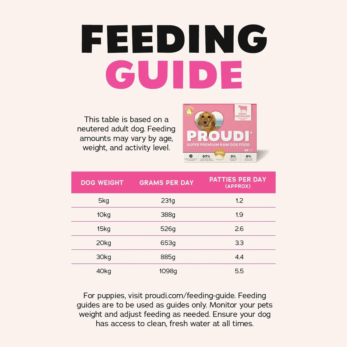 Proudi Single Protein Beef Raw Patties for Dogs - 12 x 200g