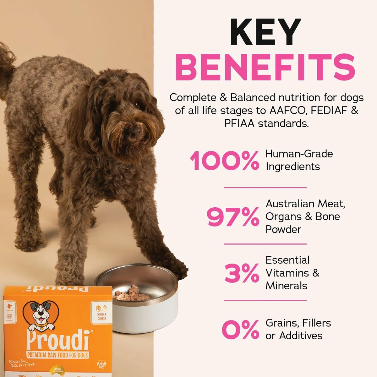 Proudi Turkey and Chicken Raw Patties for Dogs - 12 x 200g