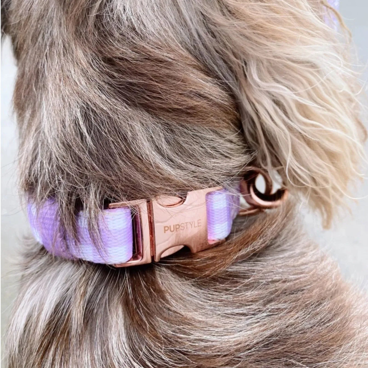 Pupstyle Dog Collar Berry Milkshake