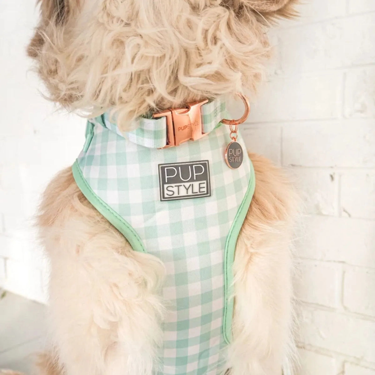 Pupstyle Dog Collar Sweet Apple