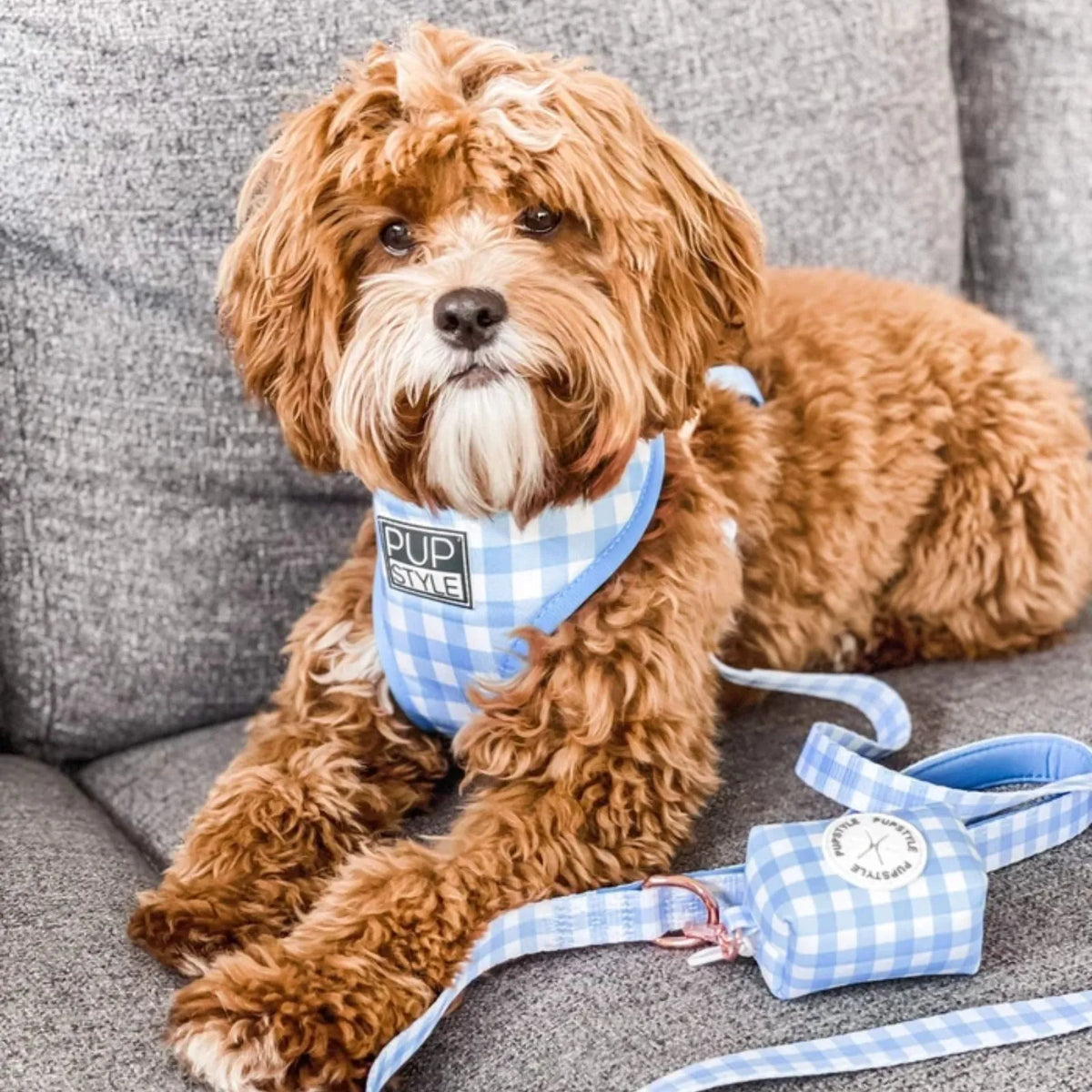 Pupstyle Dog Harness Blueberry Muffin