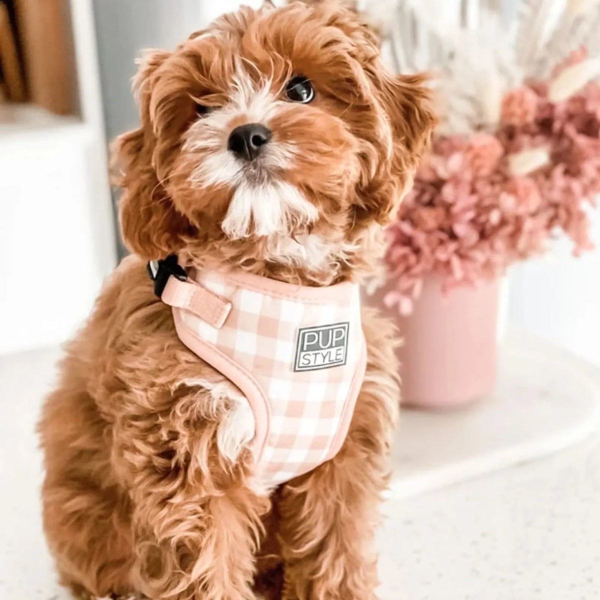 A small fluffy brown dog wearing a pink and white gingham PUPSTYLE Creme Brulee gingham adjustable step-in dog harness, with a visible 'PUP SIZE' label, photographed indoors with a blurred pink vase of flowers in the background.