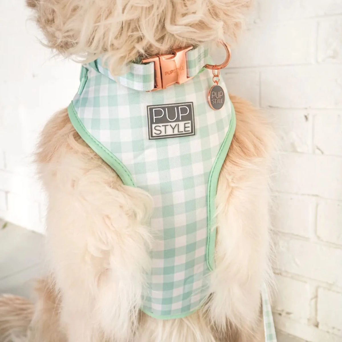 A close-up of a fluffy cream-colored dog wearing a mint green and white gingham harness with a black 'PUP STYLE' brand patch and a rose gold buckle, set against a white brick wall background.