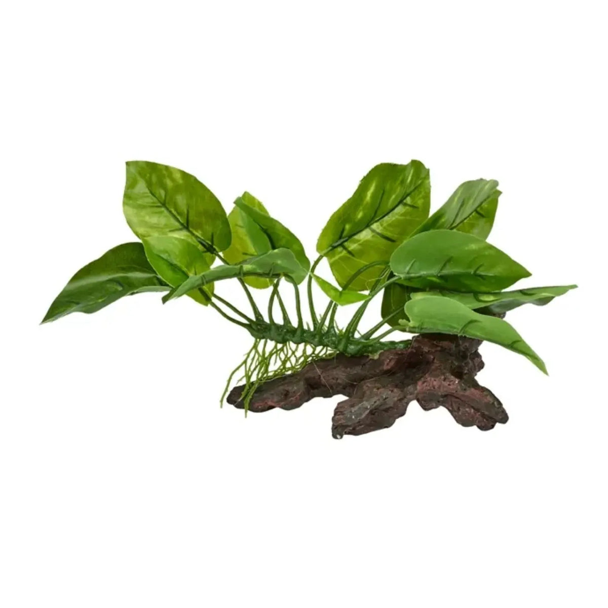 Reptile One Plastic Plant On Wood