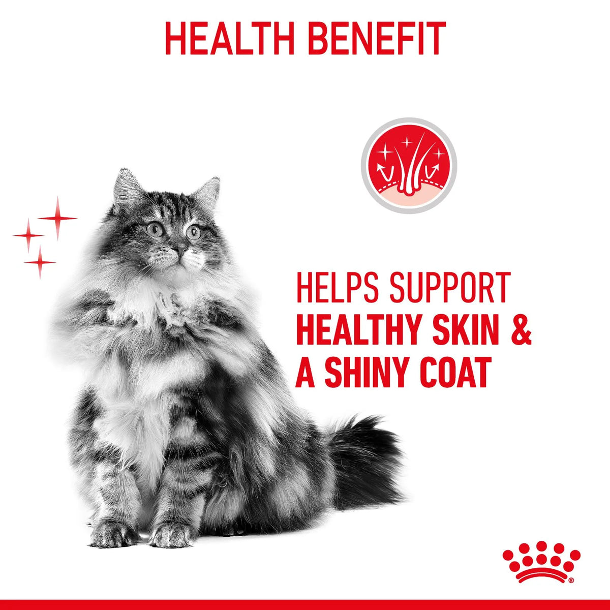 Royal Canin Cat Food Pouch Adult Hair & Skin Loaf - 85gx12