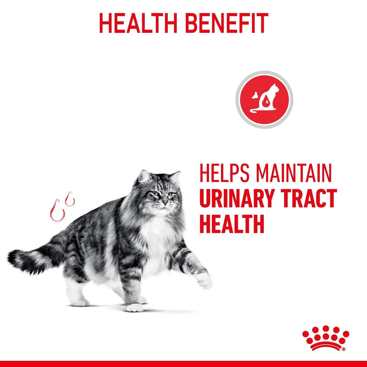 Royal Canin Cat Food Pouch Adult Urinary Care Jelly - 85g x 12