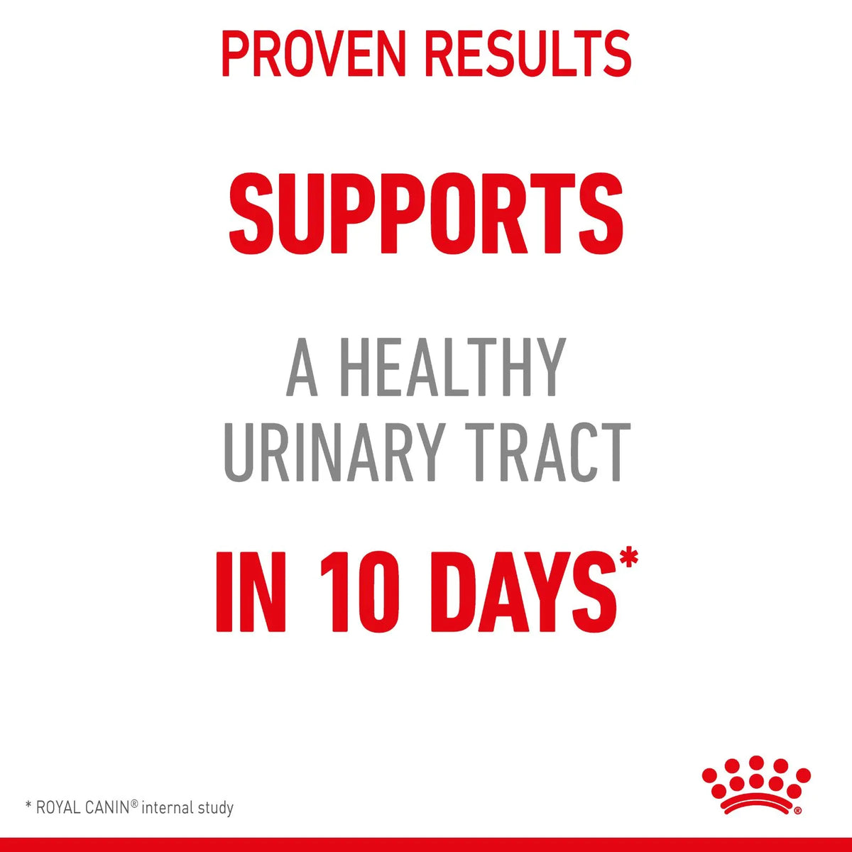 Royal Canin Cat Food Pouch Adult Urinary Care Jelly - 85g x 12