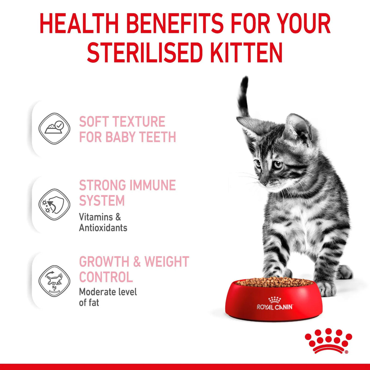 Royal Canin kitten food promotional graphic with text highlighting health benefits for sterilised kittens, including soft texture for baby teeth, strong immune system, and growth and weight control. A small kitten stands beside a red bowl of kibble on a white background with the Royal Canin logo at the bottom.