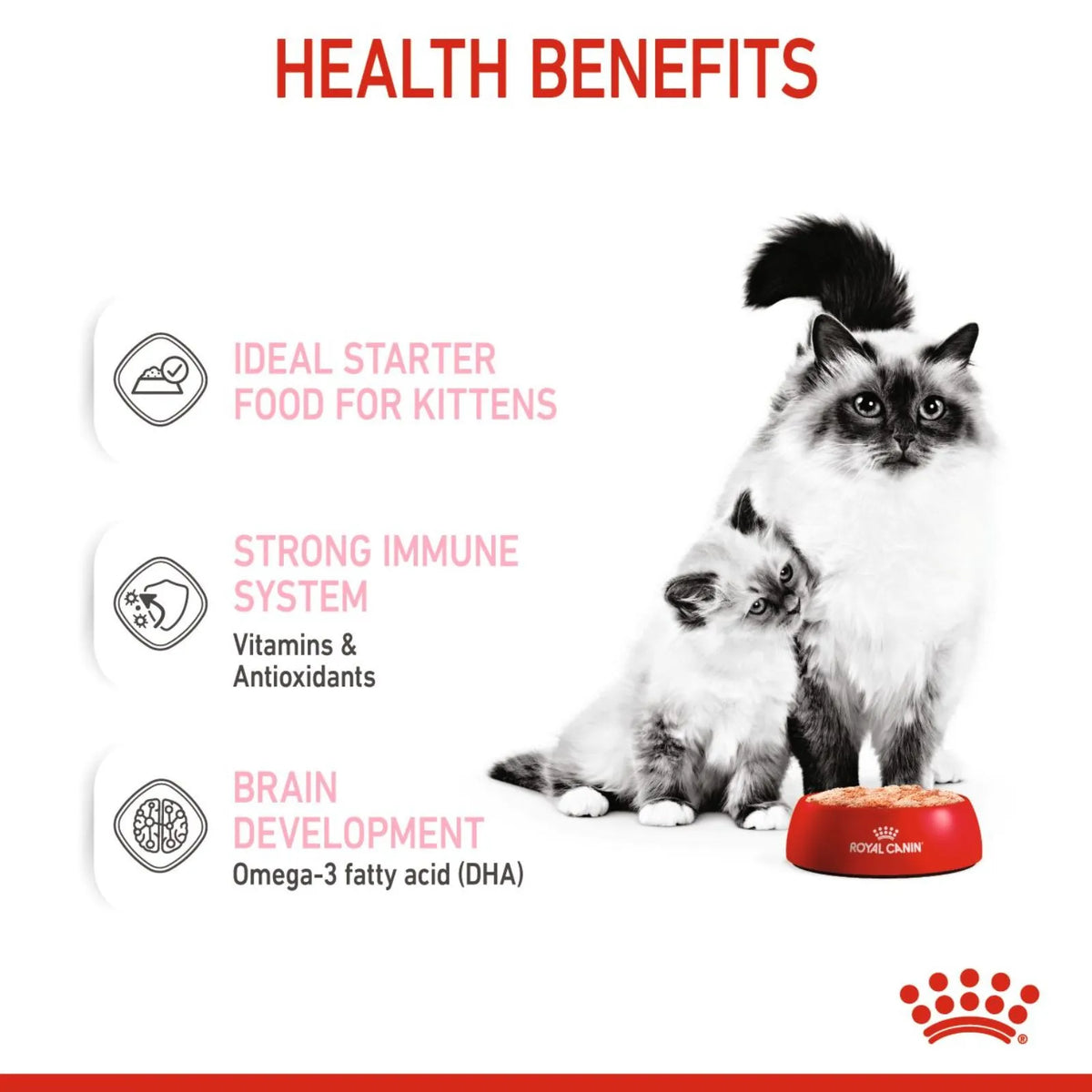 Royal Canin Kitten Food Can Mother & Baby - 195g x 12