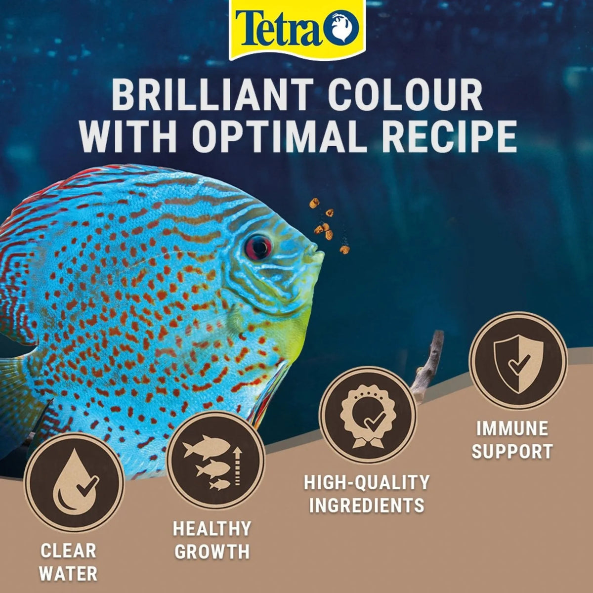 Tetra fish food promotional graphic featuring a blue and green discus fish on a dark blue background with the text 'BRILLIANT COLOUR WITH OPTIMAL RECIPE' and four benefit icons for clear water, healthy growth, high-quality ingredients, and immune support.