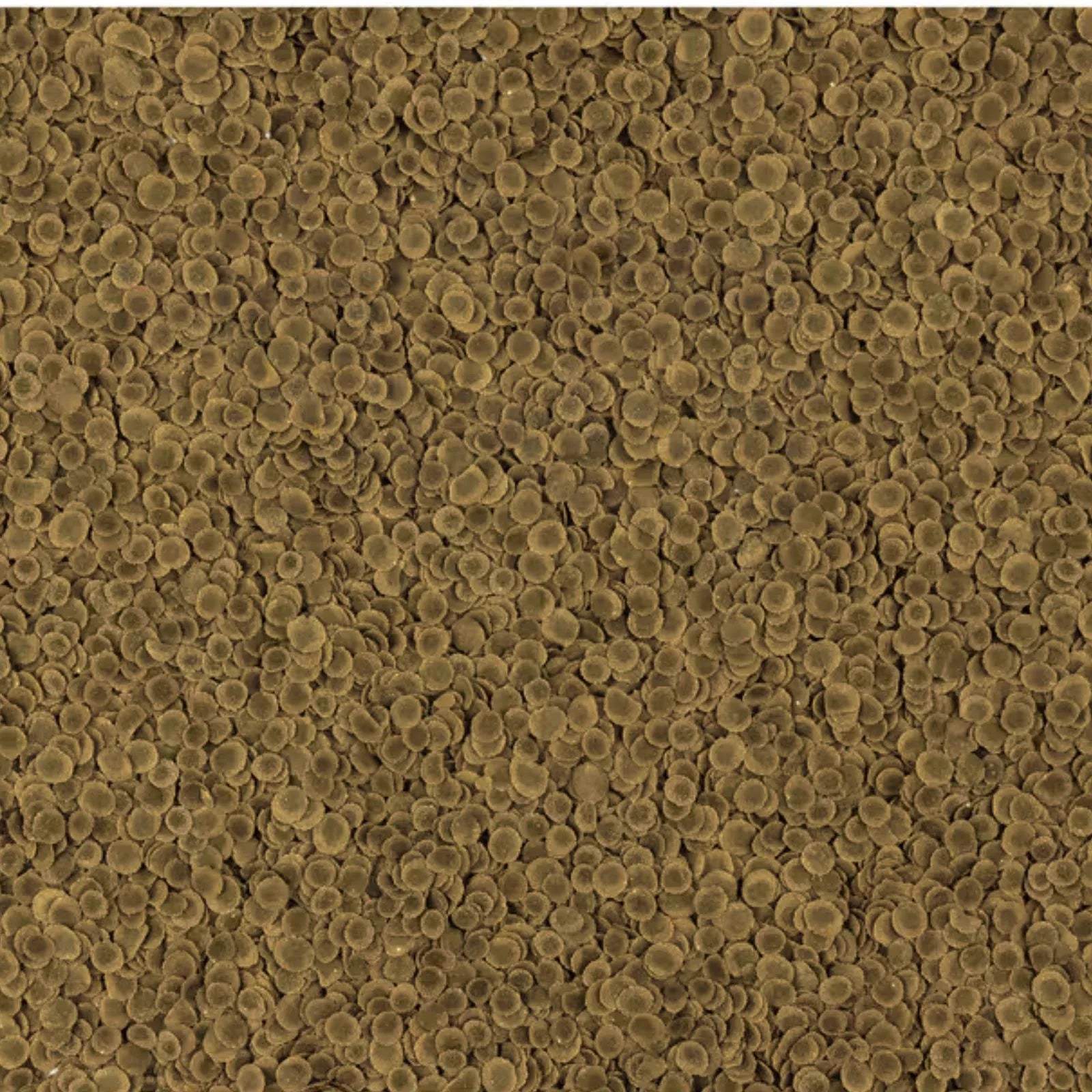 TetraPRO Algae Crisps